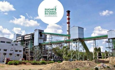 www.sugarethanolbioenergy.com -🍬💰 Haryana Govt Sets Up Committee to Strengthen Financial Health of Sugar Mills