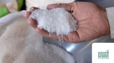 www.sugarethanolbioenergy.com - 🍬 Sugar Prices Climb Ahead of Ramadan, Traders Blame Syndicates