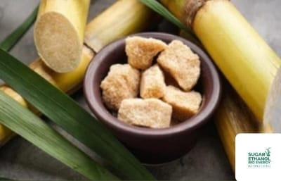 www.sugarethanolbioenergy.com - 🇮🇳✨ India has approved the export of 50,000 MT of organic sugar per financial year 🍬🌱📦