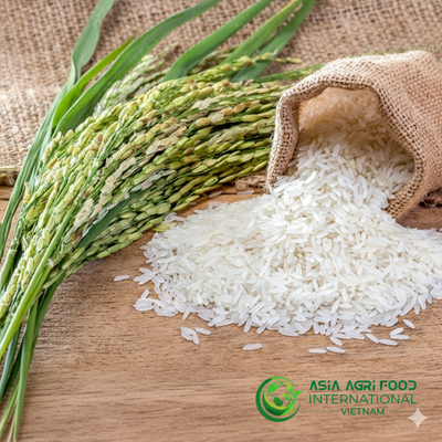 www.asiaagrifood.com - Asia Rice Update: India & Vietnam Prices Unchanged, Thai Rates Fall as Demand Weakens