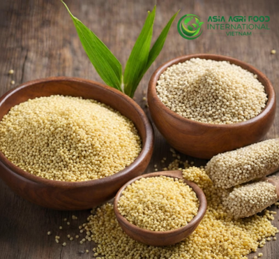 www.asiaagrifood.com - 🌾🌱 Millets Emerge as Climate-Resilient, Nutrition-Rich Crops for the Future 💪