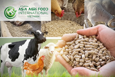 www.asiaagrifood.com - Thailand Tightens Animal Feed Imports with New ‘Burn-Free’ Maize Rules 🌽🔥❌