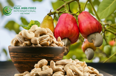 www.asiaagrifood.com -📈🥜 Philippines Cashew Production Forecast to Rise Steadily Through 2028