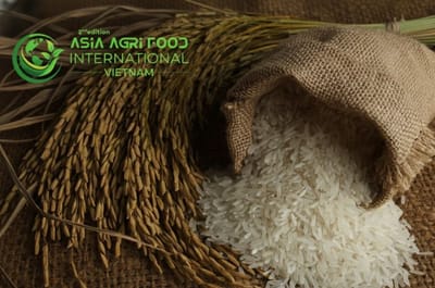 🍚 Philippines Slashes Rice Imports, Putting Pressure on Vietnam’s Market Amid Oversupply - www.asiaagrifood.com