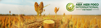 🌾 Vietnam Millet Flour Market (2025–2031) | Trends, Growth, Revenue Insights & Competitive Landscape 📈🥣 - www.asiaagrifood.com