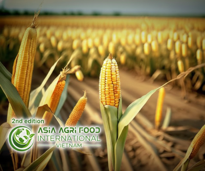 🌽 China Maize Market Outlook 2023–2028: Growth Analysis, Key Trends & Future Forecast - www.asiaagrifood.com