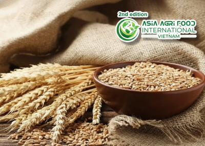 🌾 Kazakhstan Wheat Exports Surge 50% as Central Asia Emerges as a Key Growth Market - www.asiaagrifood.com