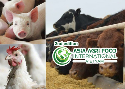 📈🌾 Animal Feed Alternative Protein Market Set for Strong Growth: Size, Share, Industry Analysis & Forecast 2026–2035 - www.asiaagrifood.com