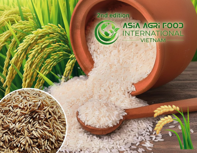 🌾⚖️ Vietnam, Thailand Face Slower Exports as India Expands Market Share📈🌏 www.asiaagrifood.com