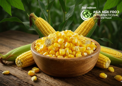 🌽🚢 Strong U.S. Corn Export Demand Keeps Shipments Flowing to Southeast Asia www.asiaagrifood.com