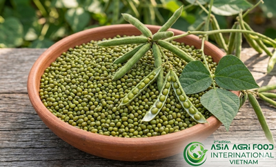 www.asiaagrifood.com - 🌱 VIETNAM’S GREEN MUNG BEAN DEMAND SURGES: 150,000–200,000 MT/YEAR, UNLOCKING NICHE IMPORT OPPORTUNITIES 🚀🌾
