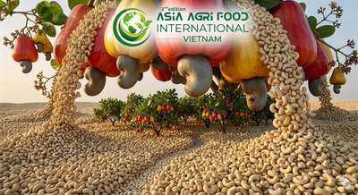 🚀🥜 Southeast Asia Cashew Market Sees Rapid Growth in Asia-Pacific Region - www.asiaagrifood.com