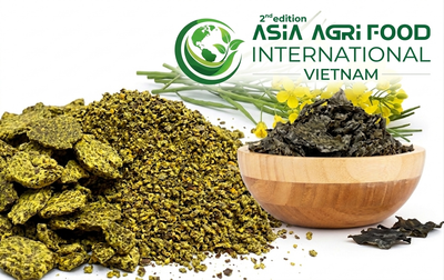📈🌍 Global Rapeseed Meal Market Set for Steady Growth at ~6–6.5% CAGR Through 2030–2035 - www.asiaagrifood.com