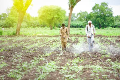Warfare and the wheat field: Why India needs a new fertiliser strategy bl-premium-article-image