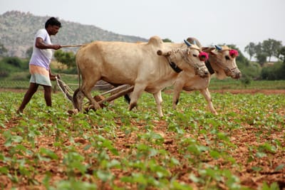 The Indian Agriculture Story: Farm income grows 225 percent in 12 years, reaches Rs 4,878 thousand crore ......