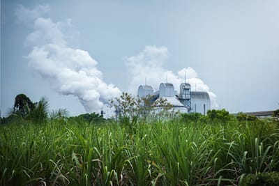 Sugar industry worried as ethanol allocation tilts towards grain