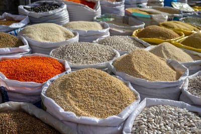 India ramps up pulses sowing, but cheap imports still weigh on farmers