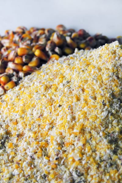 📰 African Corn DDGS Market Set to Double: From US$700 Million to US$1.44 Billion Amid Surging Poultry & Feed Demand 🚀🌽www.afroworldagrifood.com