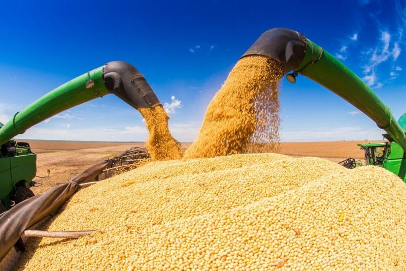 Russia, Ukraine soybean sectors expanding