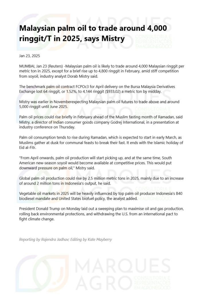 "Malaysian Palm Oil Faces Fluctuations in 2025 Amid Global Market Dynamics and Competitive Pressures."