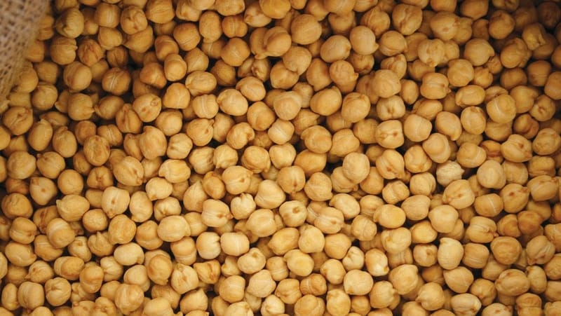 Pulse Update: Chickpeas chug out of southern ports