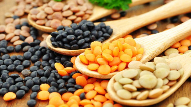 Dried lentils: massive production increase in Canada