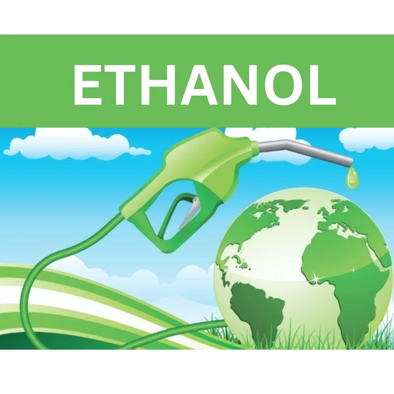 BPCL and NSI collaborate to develop sweet sorghum as a sustainable biofuel source