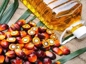 India's annual palm oil imports to fall behind soft oils for first time, industry official says