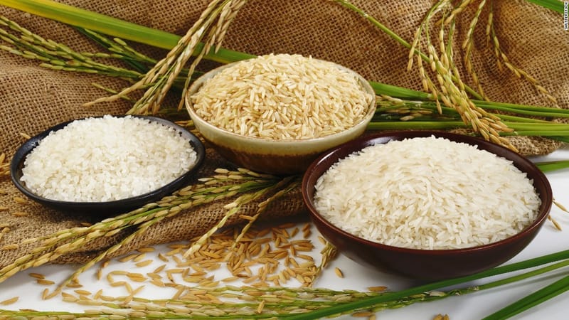 Indian rice exporters curb forecast as glut squeezes margins
