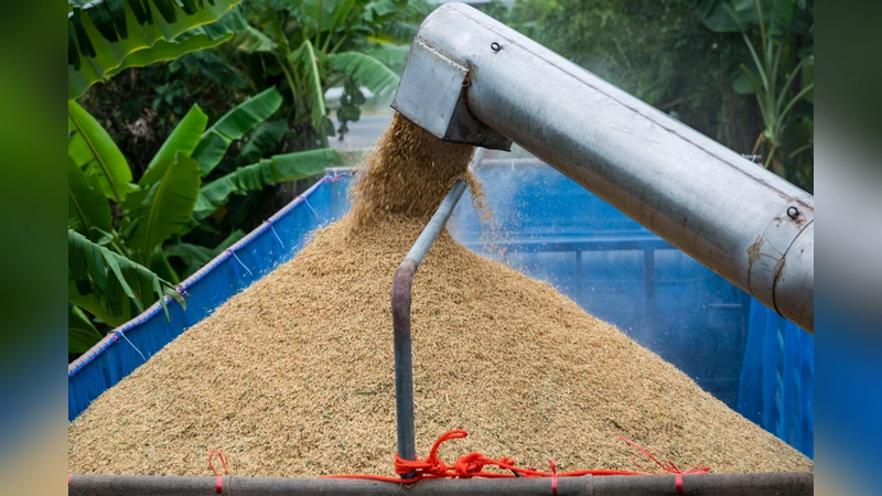 Indian exporters optimistic as Bangladesh plans to import 9 lakh tonne rice