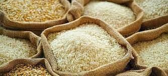 India launches new collaborative initiative with UN to improve rice fortification, supply chain management in Nepal
