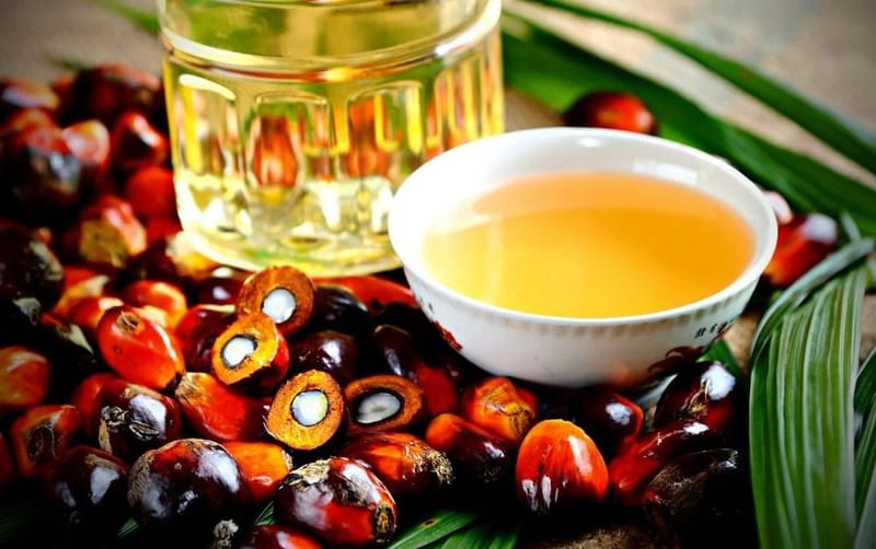 India’s palm oil imports advanced 16% in August ahead of festive season