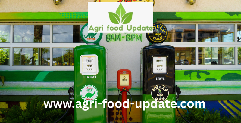 Karnataka minister orders action against maize and rice based ethanol plants evading market fees