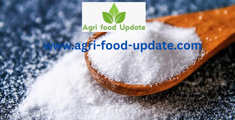 India’s net sugar production may top 31 million tonnes in 2025-26 season