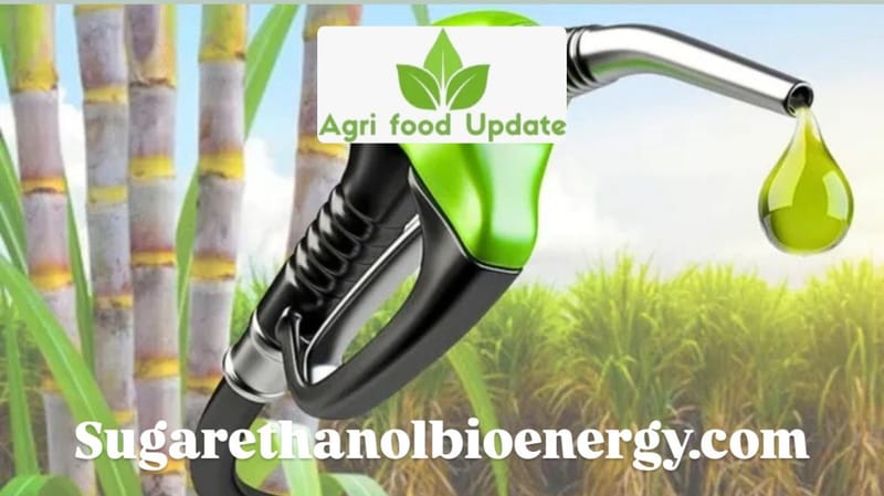 🚀 India Surpasses Ethanol Blending Targets 💧🔄 But ₹40,000 Cr Investments Strain Sugar Mills 💸⚙️