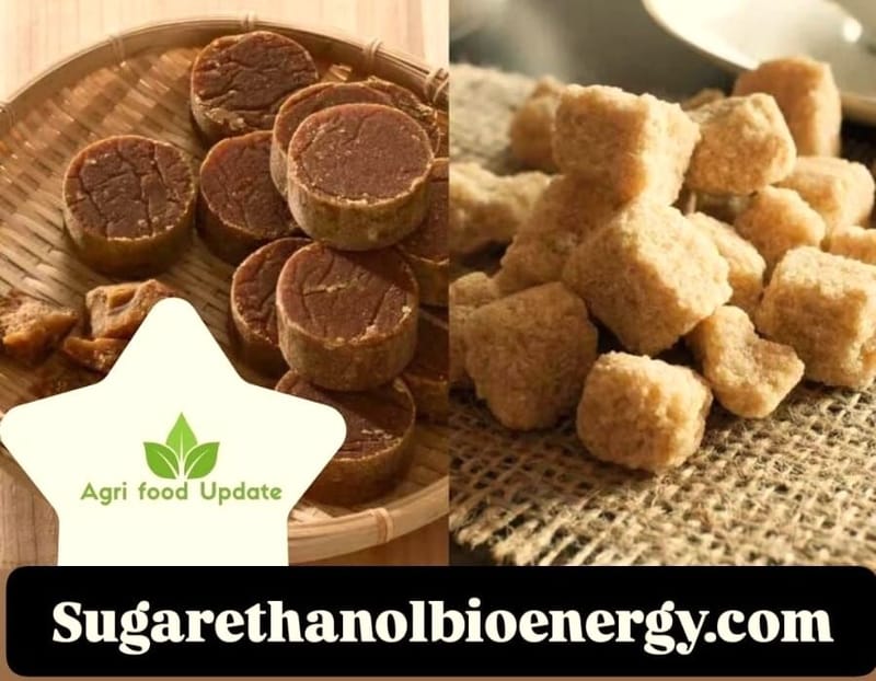 www.sugarethnolbioenergy.com -🌴 Palm Sugar Market to Soar to US$ 2,776.9 Mn by 2032 🚀 | Growing at 3.4% CAGR 📈 Fueled by Health & Wellness Trends 🍃
