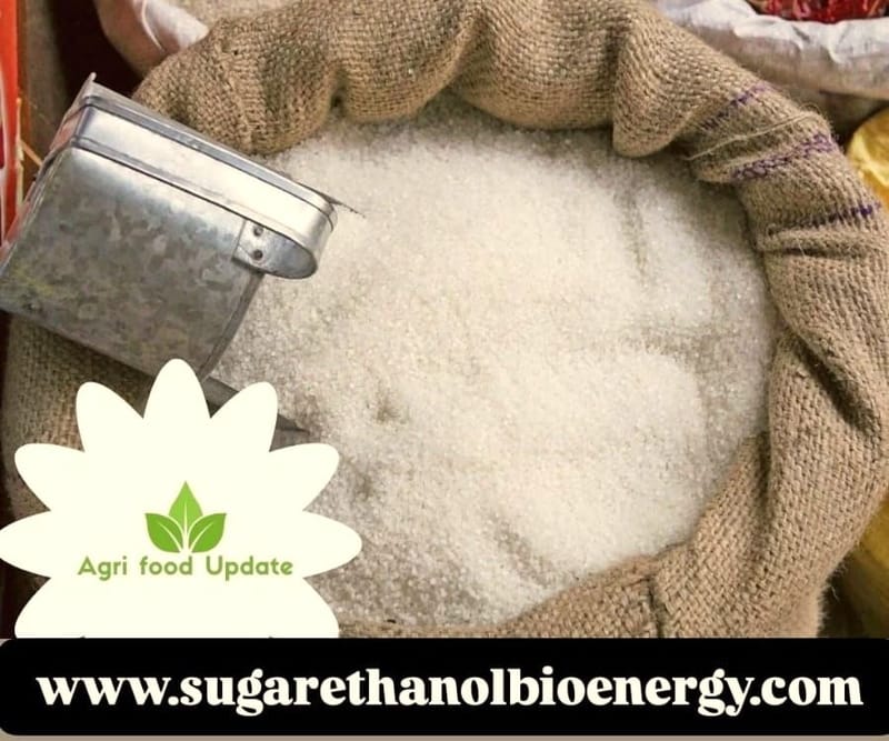 www.sugarethanolbioenergy.com-🌍🍬 International Sugar Prices Rangebound, 🇮🇳 Indian Export Parity Could Tip the Scale ⚖️📈