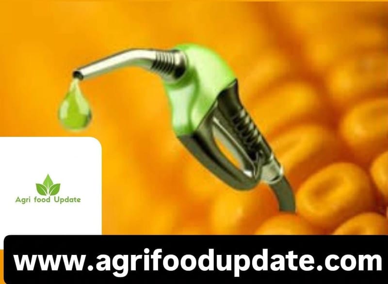 U.S. Grains & BioProducts Council eyes ethanol byproduct DDGS exports to India