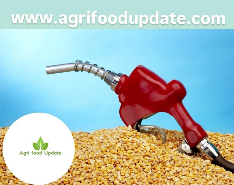 🌽 Trade Tangles: India vs US Over Corn & Ethanol 🚫🛢️