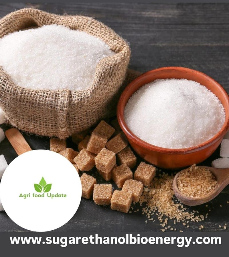 www.sugarethnolbioenergy.com-📊 Govt Releases 24 LMT Sugar Quota for October 2025 — Market Awaits Price Shift 💰🍭
