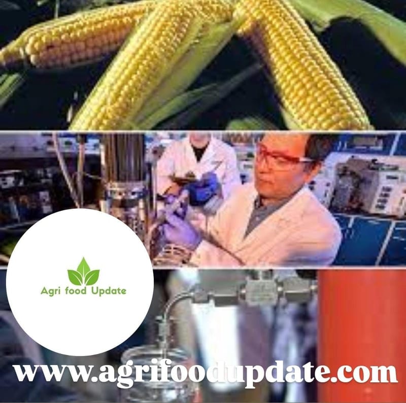 Corn use for fuel ethanol production at 456 million bushels in July