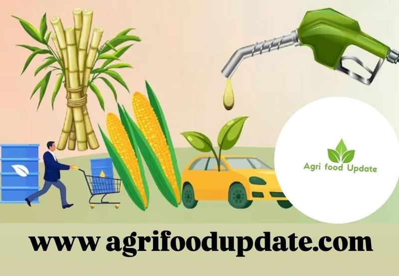 🌾 India’s Ethanol Drive 🚜 Is Transforming Farmlands 🌱