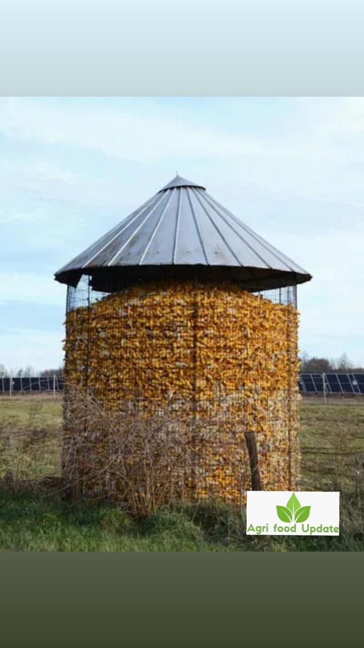 Ethanol firm TruAlt Bioenergy IPO receiving strong interest among investors