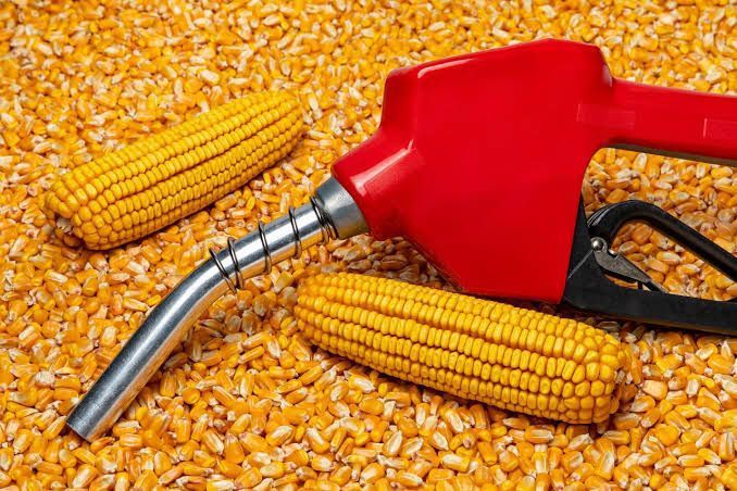 Karnataka minister orders action against maize and rice based ethanol plants evading market fees