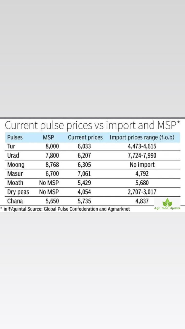Global prices of pulses drop to record lows as Canada, Australia, Russia and Africa tussle for market share