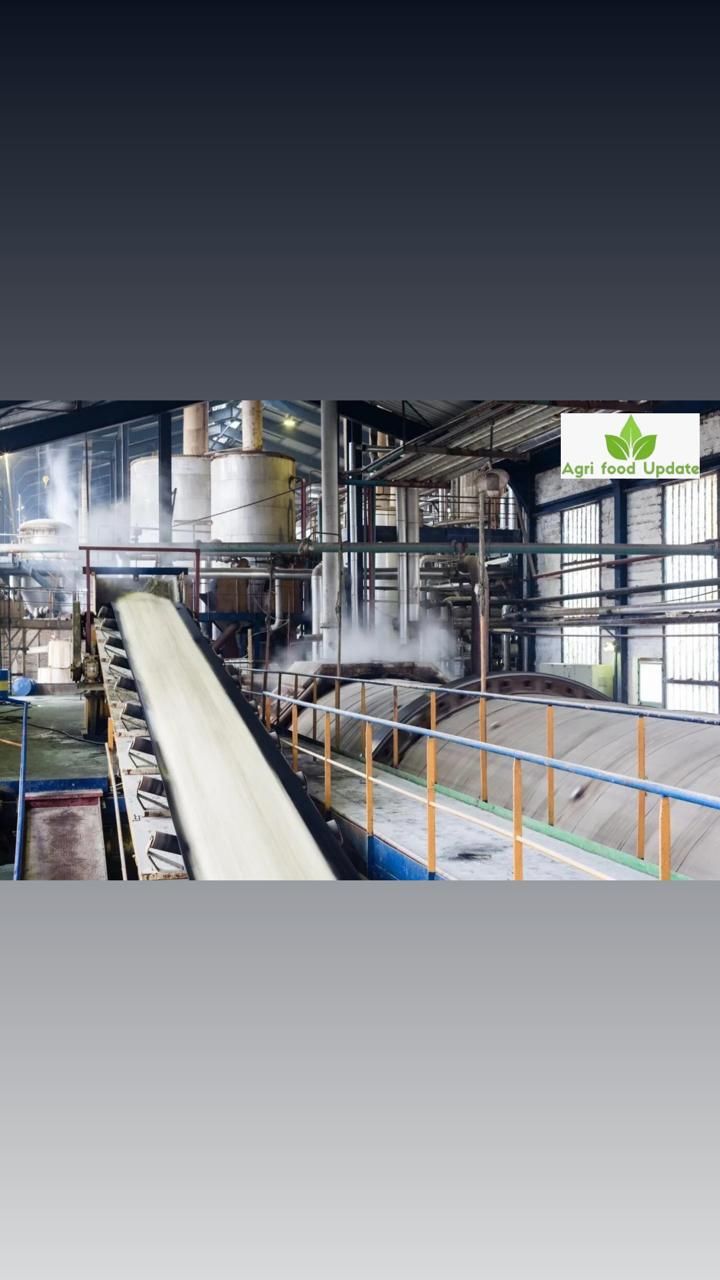 India’s sugarcane harvest poised to be sweet in 2025-26