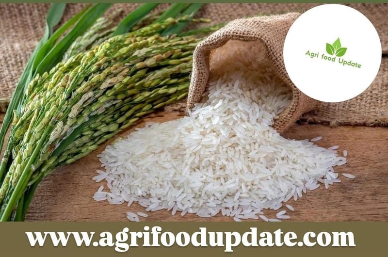 India unlikely to agree delinking GI for basmati rice from FTA with EU
