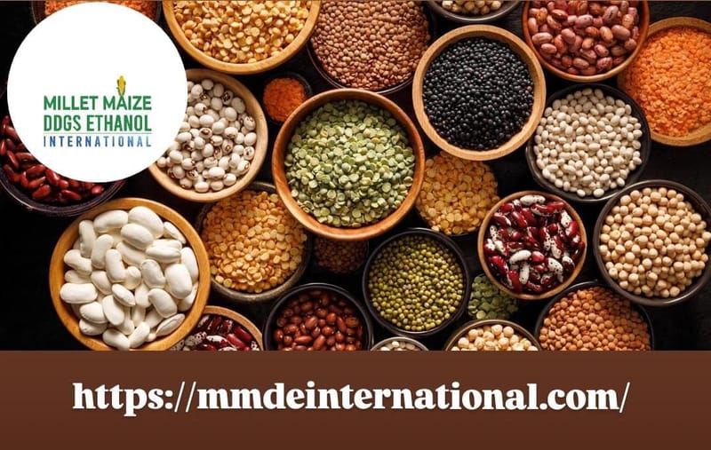 https://mmdeinternational.com/ Falling inflation, prices: Panel calls for ban, curbs on import of major pulses