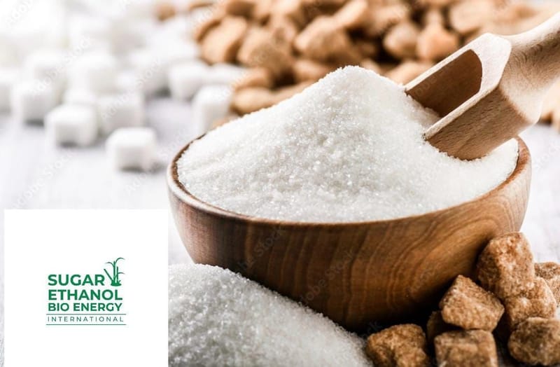 www.sugarethanolbioenergy.com - 🚫 Curbs on Sugar Supply 🍬 May Spark Shortages ⚠️