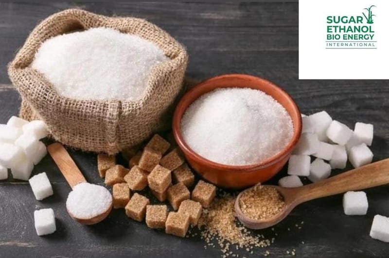 www.sugarethanolbioenergy.com - 🏭🇮🇳 Indian Investor Proposes Sugar Factory in Guyana 🍬🤝